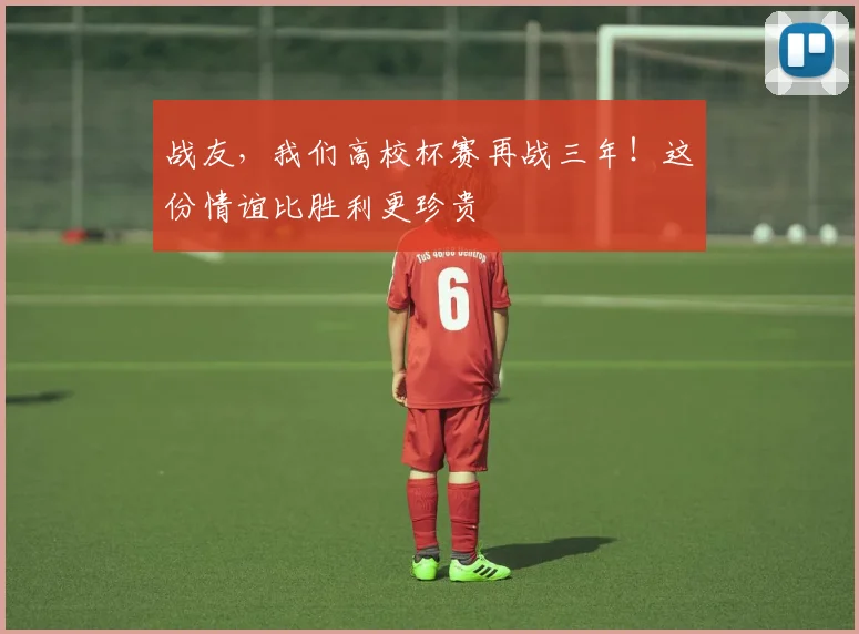 战友,我们高校杯赛再战三年!这份情谊比胜利更珍贵